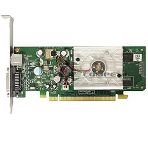 Nvidia GeForce 8440GS 256MB PCIe x16 DVI Graphics Card HP 445743-001 445681-001 Click Here