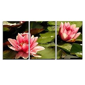 3 Piece Canvas Wall Art - Pink Water Lilies - Modern Home Art Stretched and Framed Ready to Hang - 16"x24"x3 Panels