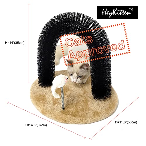 HeyKitten Cat Self Groomer Arch, 13"H Back Scratchers, Face Hair Brush