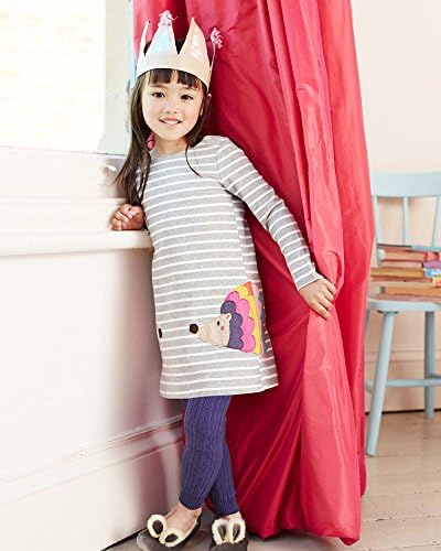 Magical Baby Little Girls Spring Long Sleeve Striped Hedgehog A-Line Dress