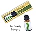 Simply Earth Cypress Essential Oil 15 ml, 100% Pure Therapeutic Grade