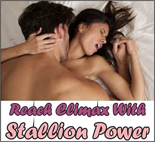 Stallion POWER Herbal 100% Ayurvedic Last Long Sex Man's Stamina fast acting Sexual Enhancing Capsules. SNR Product