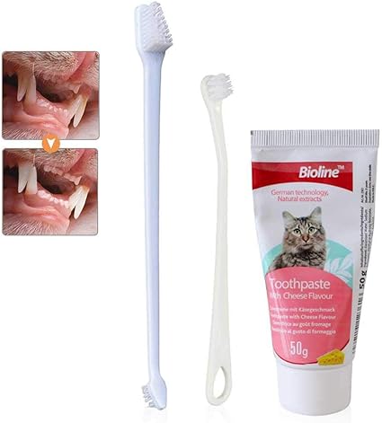 best cat toothpaste and brush