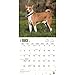Basenjis 2017 Wall Calendar