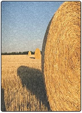 Bales Hay Sunny Days Warmer Winter Fleece Throw Plush Blanket 58 x 80 inches (Large)