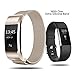 Smasy Replacement Bands Compatible with Fitbit Charge 2, Stainless Steel Metal Bands and Extra Silicone Bands (Champagne + Black, Small)