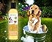 All Natural Pet Shampoo with Turmeric, Groomers Quality with a Fresh Scent for Dogs and Cats, Anti-Microbial and Anti-Bacterial Plus Cedar Oil to Repel Insects