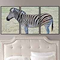 3 Piece Framed Canvas Wall Art Single Striped Animals Black and White Dramatic Modern Art for Living Room Bedroom - 16