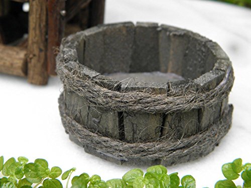 wooden watch plant a tree