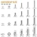 304 Stainless Steel Screws and Nuts, M3 M4 M5 M6 Hex Socket Head Cap Screws Assortment Set Kit with Storage Box (520 Pcs Hex Button Head Cap Screws Nuts)