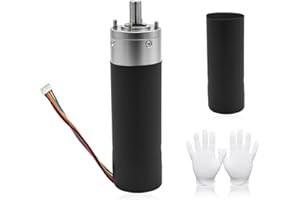 RAYESYTH 287298 RV in-Wall Slide-Out Motor for Lipp-ERT Schwintek in-Wall Slide System, Slide Out Motor 500:1 High Torque Gear Ratio, 12V DC