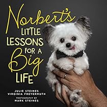 Norbert’s Little Lessons for a Big Life Norbert’s Little Lessons for a Big Life
