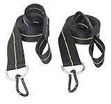 Hammock Straps - Tree Straps with Carabiner - 2 Inch X 8 Foot - Heavy Duty 4,000 lb Webbing - Hammock Tree Straps - Made in USA