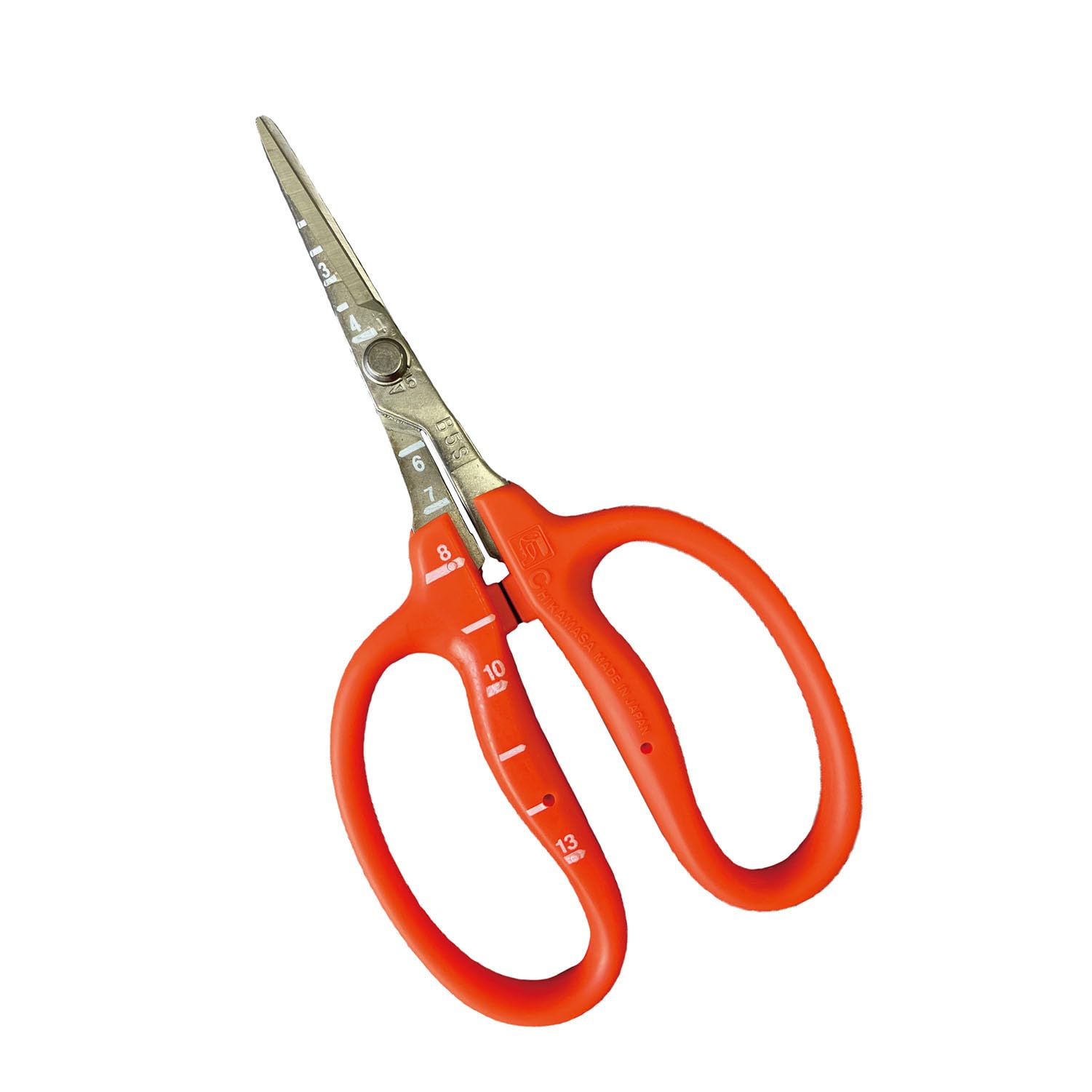 Chika masa stainless grape scissors care B-500S (japan import)