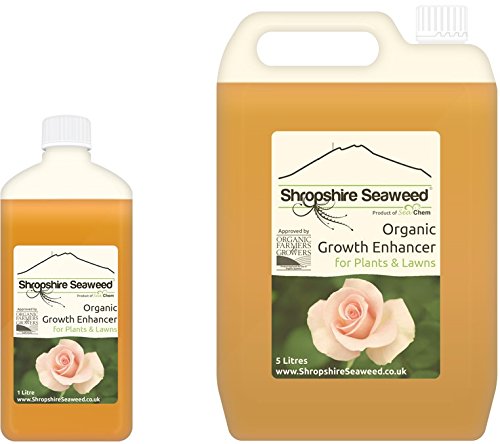 Organischer Dünger aus Atlantischen Algen hergestellt - 1 Liter - Andere Größen verfügbar