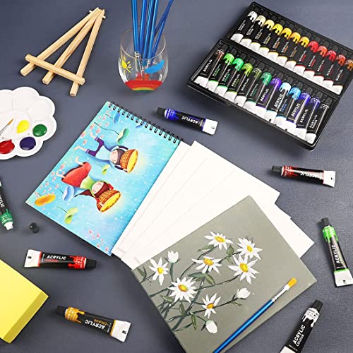Colorful Acrylic Painting Kit Paint Supplies Set with 24 Colors, 30