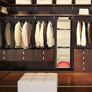 Ziz Home Hanging Clothes Storage Box A Good Cheap Alternative