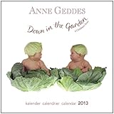 General Calendars: Annes Geddes - Down In The Garden. - 12 Month - Mini - 7.0x7.0 inches by