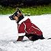 Kailian Dog winter Jacket Puppy Hooded Coat, Dog Apparel,Dog Snowsuit, Faux Shearling Fabric Coat Cotton Clothes Red-L