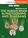 The Human Brain in Photographs and Diagrams: With STUDENT CONSULT Online Access