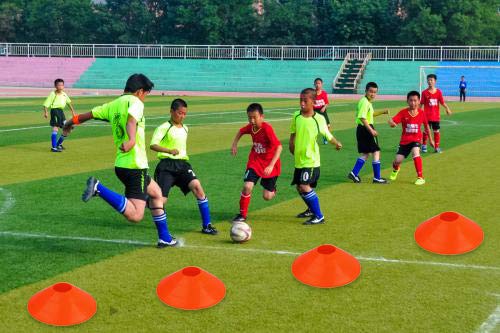 Disc Cones (Set of 50) Agility Soccer Cones with Holder for Training, Football, Kids, Sports, Field Cone Markers (100) - Thumbnail 3