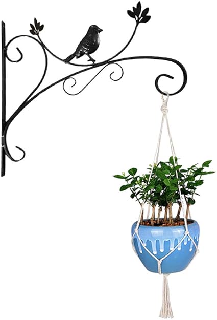 Yuccer Crochet Plante Suspendue Suspension Mural Crochet Decoration De Jardin Support A Crochet En Fer Pour Pot De Fleurs Lanterne Cloche De Vent Noir Amazon Fr Jardin