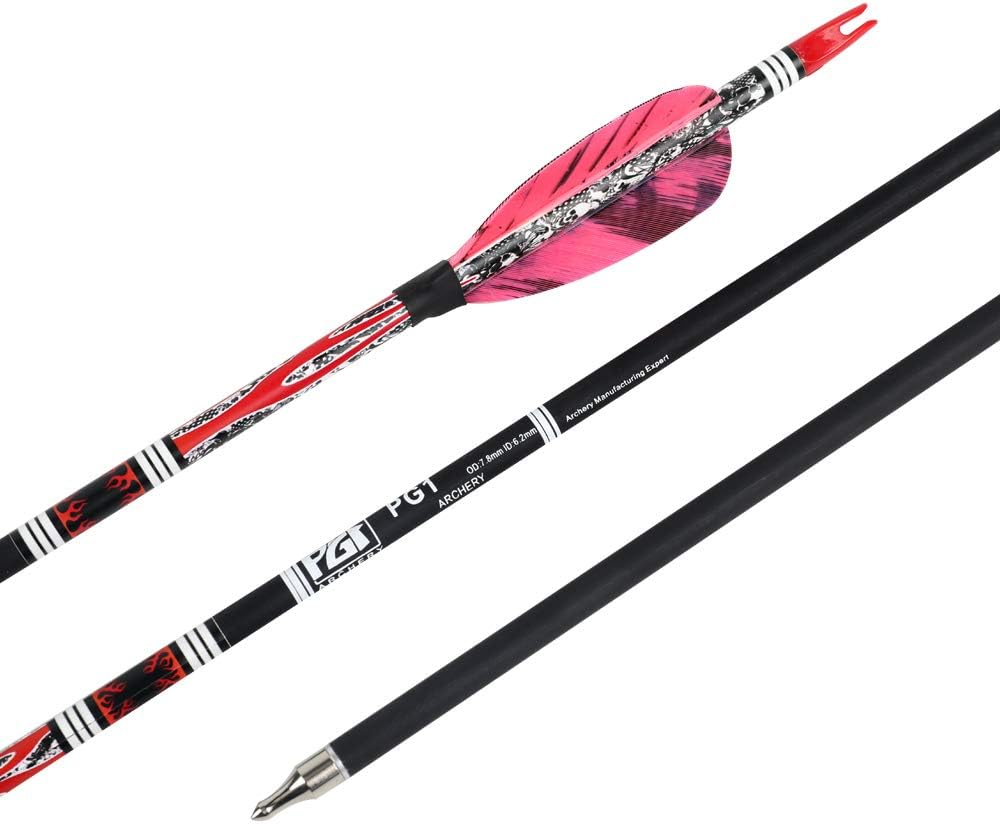 PG1ARCHERY 30 Inch Archery Targeting Arrows Carbon Practice Hunting Arrow with 3" Turkey Feathers Fletching Replacement Tips for Recurve & Compound Bow, 6 Pack Purple : Sports & Outdoors