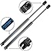 ARANA 2 Pcs Rear Window Lift Support/Liftgate Glass Support for 2005-2013 Nissan Pathfinder (Not the Full Liftgate) 90460ZL90A