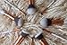 Professional Makeup Brushes Set 10pcs with White Marble Look Makeup Brush Handle