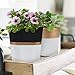 LA JOLIE MUSE Ceramic Modern Flower Pots Indoor – 5.5 Inch Pack 2 Round & Square Herb Orchid Cactus Succulent Planter Pots with Drainage Hole and Gold Detailing