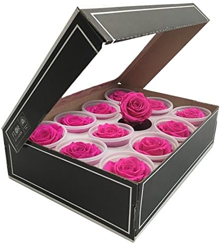 KIKA DECO Preserved Roses Head Pack (Small 12 Pack, Fuchsia)