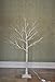 RainLeaf 48 LED Birch Tree Lights with Flexible Branches, Warm White, 4 Feet
