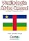 Livro Vexilologia para a bandeira da República da África Central Com display TFT programado no Arduino