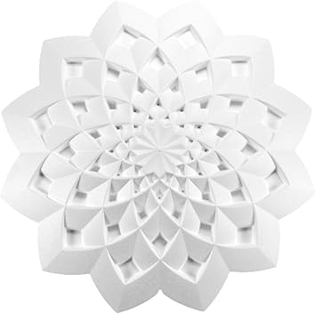 1 Rosette Rosace En Stuc Decoration Interieur Decoration Interieur Coince Rosace De Plafond O63cm R 33 Amazon Fr Bricolage
