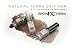 Divaderme Brow FX II Terra - 100% Natural Terra Eyebrow De-Finer & Filler Enhancer Treatment (Terra Ash)