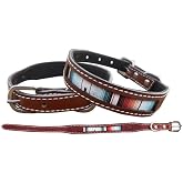 Showman Southwest Serape Print Leather Dog Collar