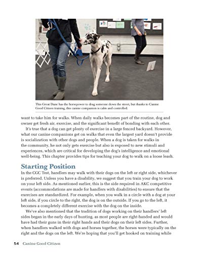 Canine Good Citizen: The Official AKC Guide, 2nd Edition: Ten Essential ...