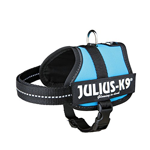 JULIUS-K9Powerharness, Size: XS/Mini-Mini, Aquamarine