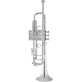 Bach Trombone, lacquer (190S37)