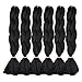 RAYIIS 6 Packs Braiding Hair Kanekalon Synthetic Braiding Hair Extensions 24 inches (6 Packs, Black 1B)