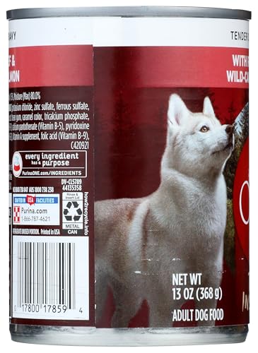 PURINA ONE® SMARTBLEND® TRUE INSTINCT BEEF & SALMON WET TENDER CUTS IN GRAVY DOG FOOD