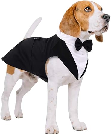 dog tuxedo shirt