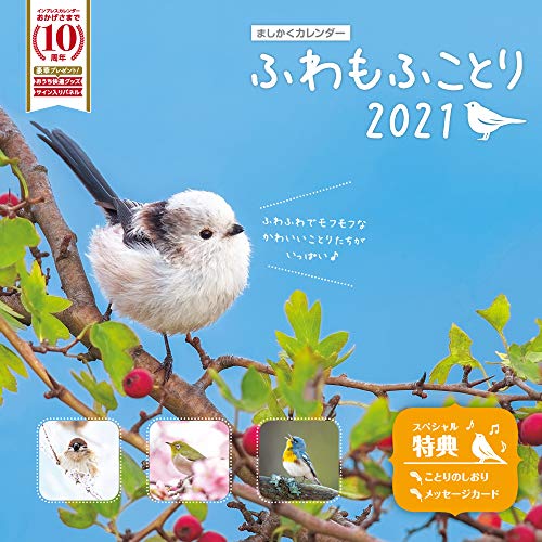 ましかくカレンダー ふわもふことり21 インプレスカレンダー21