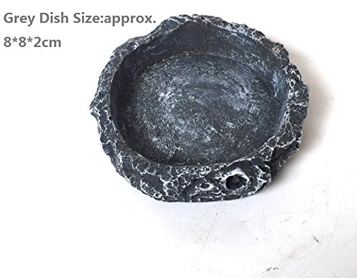 Lifelike Water Plant Ornament Resin Reptile Feeding Plate for Snake Tortoise Lizard Water Dish Feeder Bowl