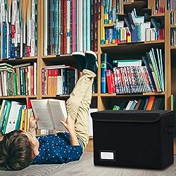 EOOUT 2pcs Comic Book Storage Box, Collapsible