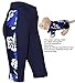Private Island Women UPF 50+ Beach Board Shorts Pants Swimsuit Bathing Swim Rash Guard Yoga Bottom (M, Black-RSP)