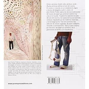 ARTE DE RECORTAR (DISEÚO TECNICAS TRADICION Y NUEVOS USOS)
