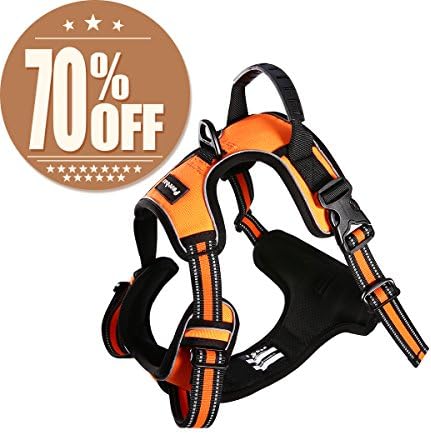 PUREBOX Dog Harness, No-Pull Front Range Comfort Harness Four Points of Adjustment Dog Harness 3M Reflective Oxford Material, Easy Control