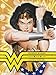 Wonder Woman: Amazon. Hero. Icon. by 