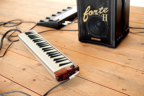 Suzuki hammond melodion